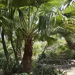 Arte In Der Capoliveri (Isola d'Elba)