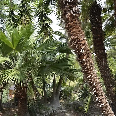 Arte In Der דירה קאפוליברי